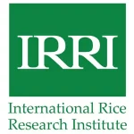 International Rice Research Institute logo
